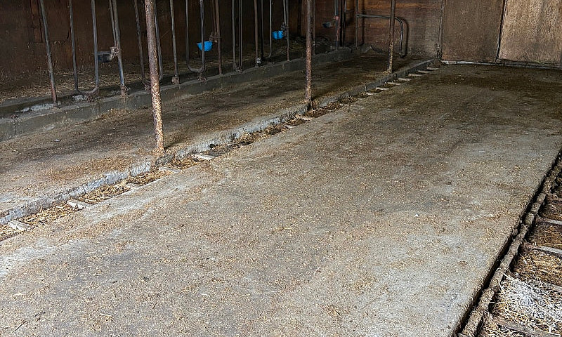 Barn And 55 Acres Of...