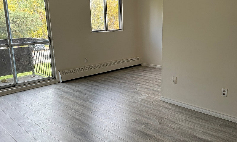 Updated 3 Bedroom...