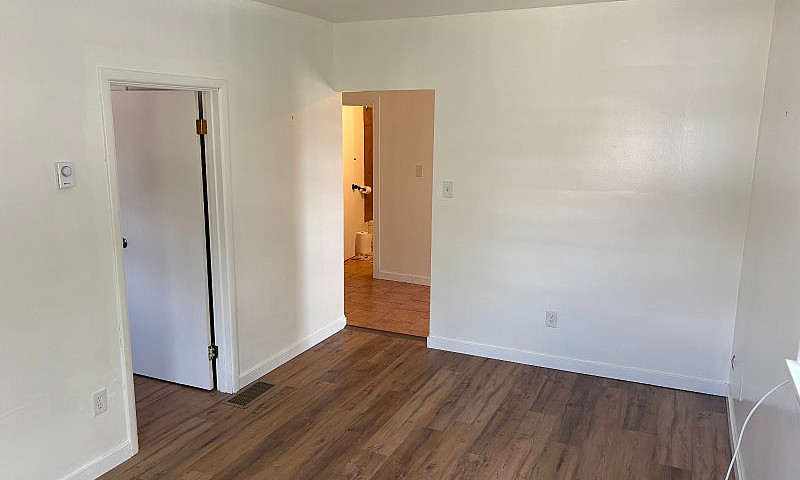 1 Bedroom Apartment ...