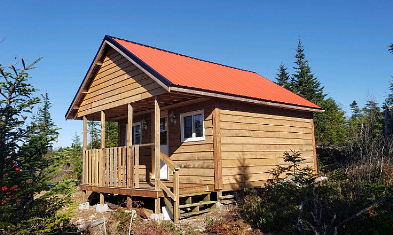 Cabin With 3Acres On...