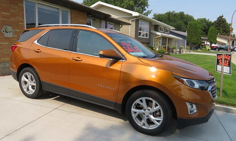 2019 Immaculate Equi...