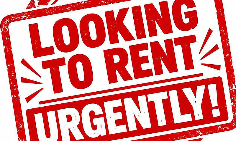Looking 4 Housing Re...