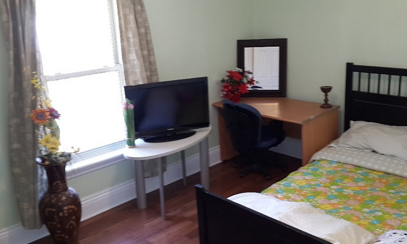 Studio Apartment For...