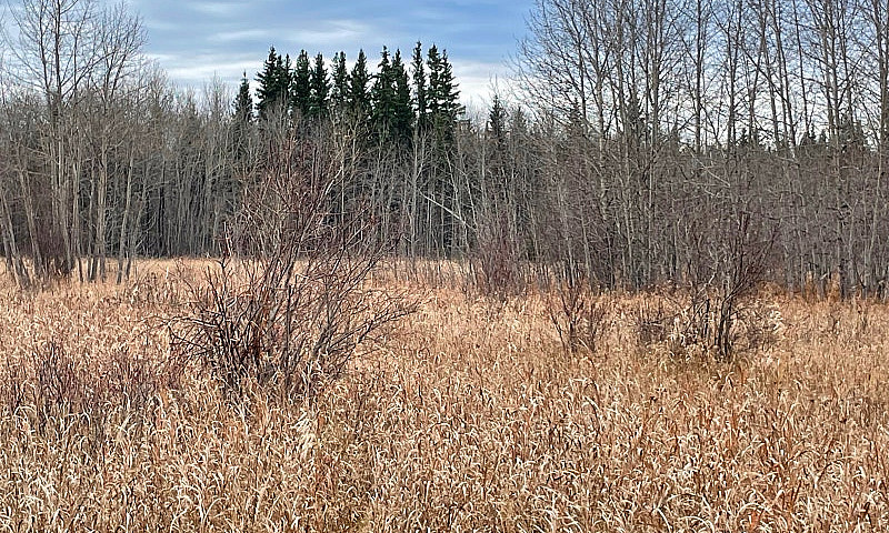 Land For Sale...