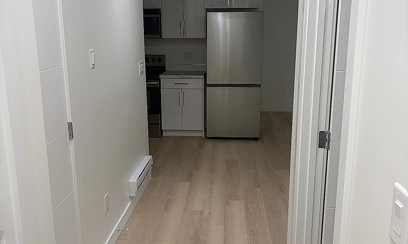 1 Bedroom Basement S...