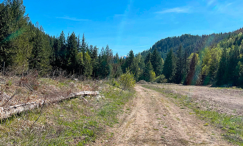 295 Secluded Acres B...