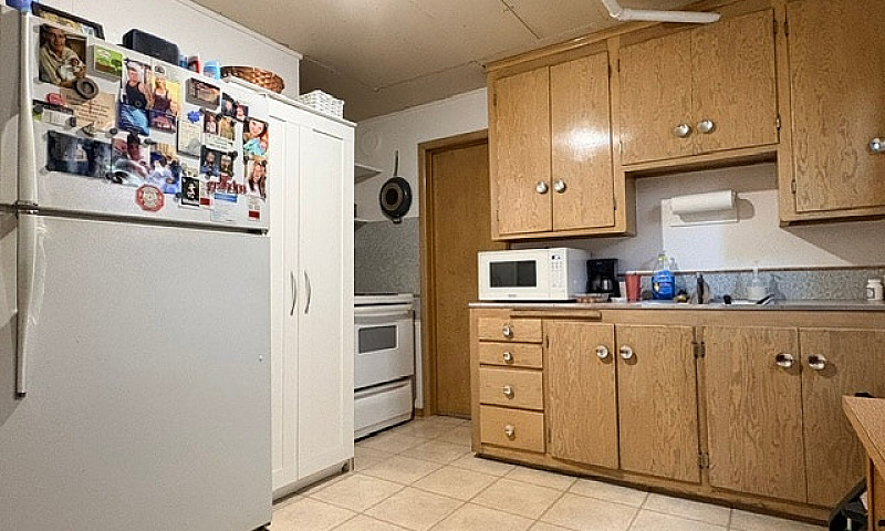 Bachelor Basement Su...
