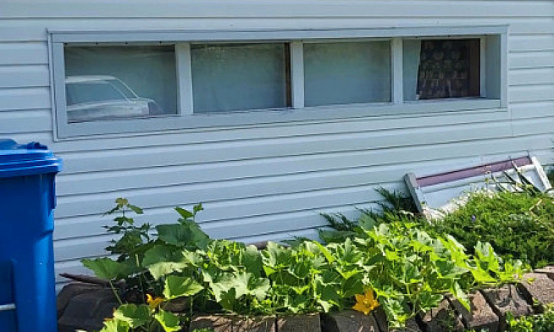 House For Rent, East...