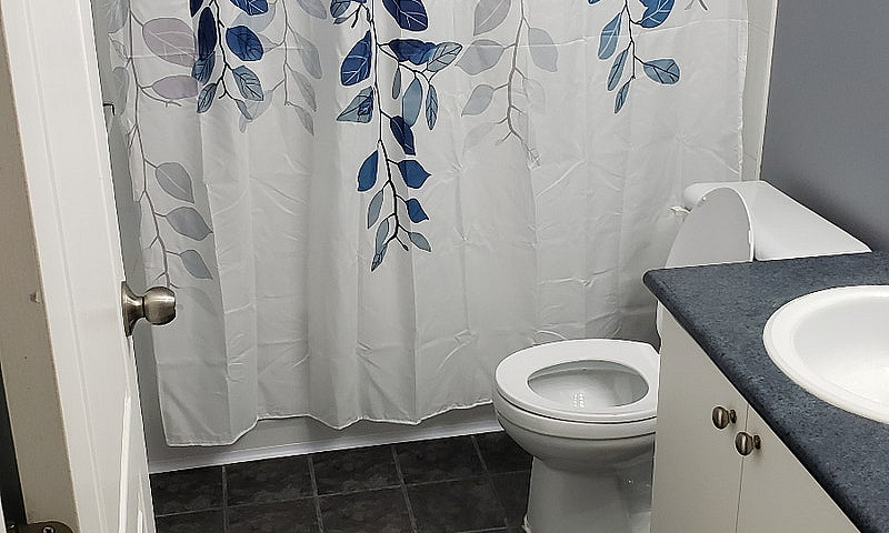 2 Bedroom Basement S...