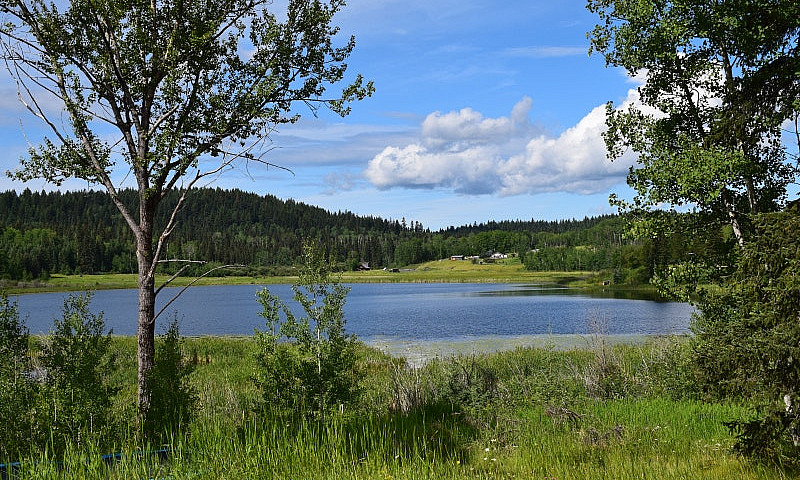 Beautiful Property, ...