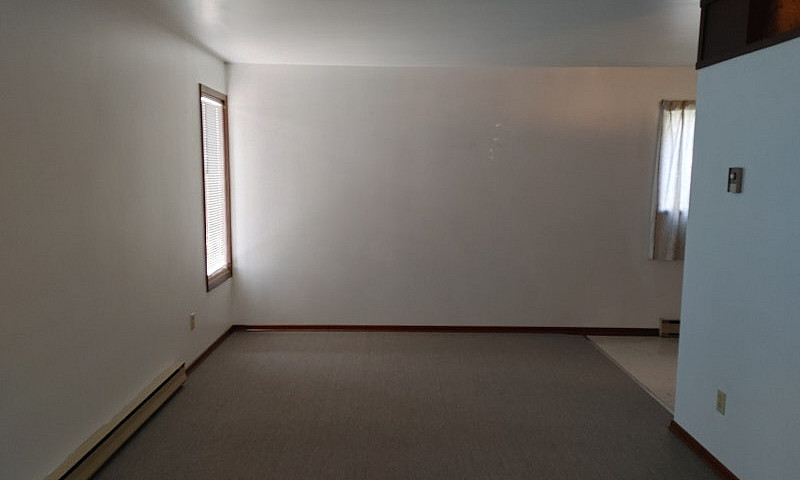 Large 1 Bedroom Apar...