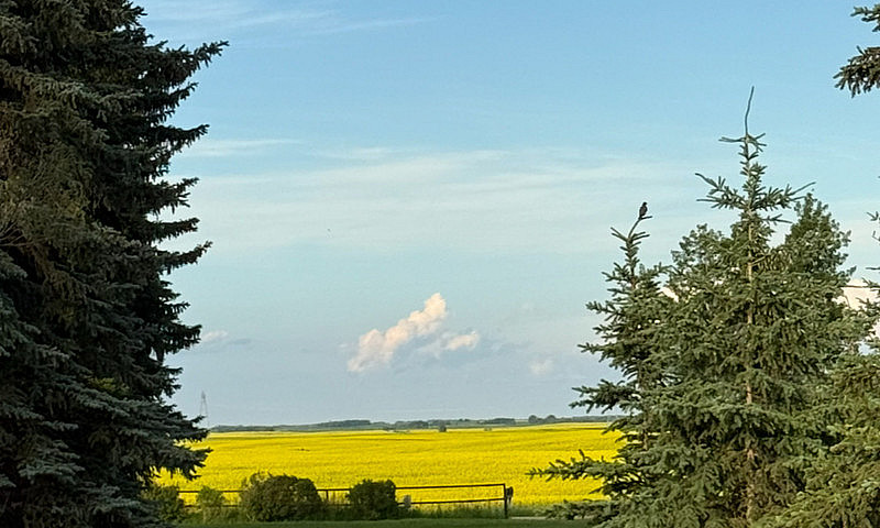 Acreage For Sale...