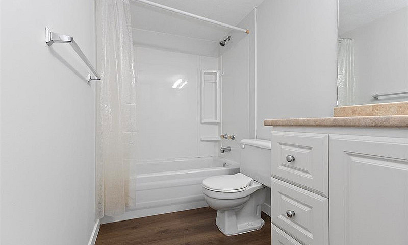 2 Bed 1 Bath - Condo...