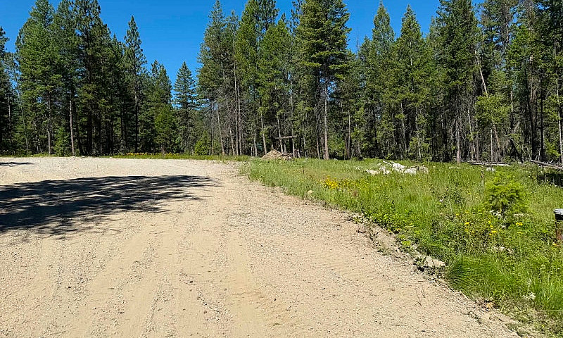 2.5 Acres Of  Land F...