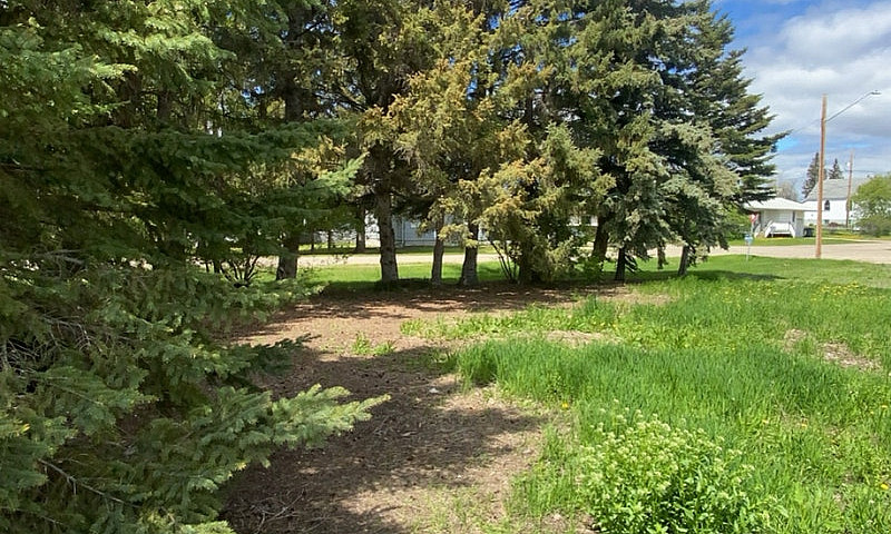 Double Lot In Spring...