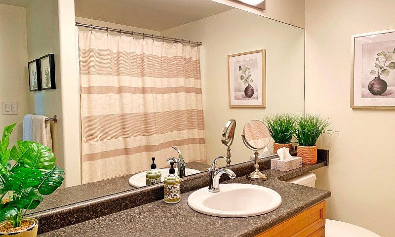 Furnished Luxury Con...