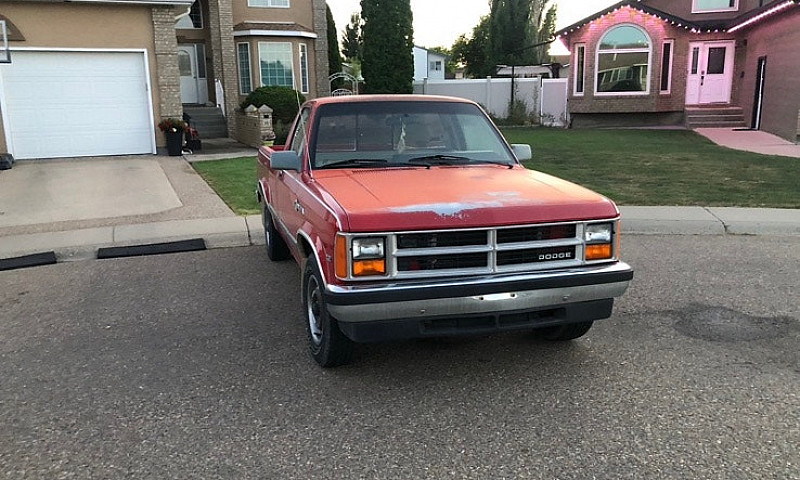 1988 Dodge Dakota ...
