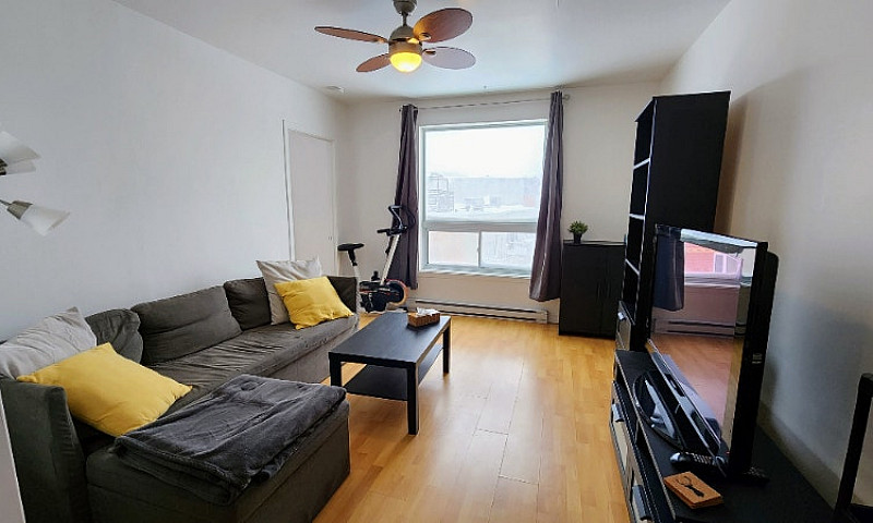 Appartment 4 1/2 - 1...