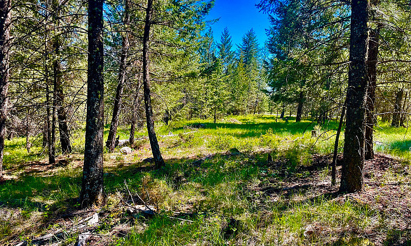  For Sale – 9.5 Acre...