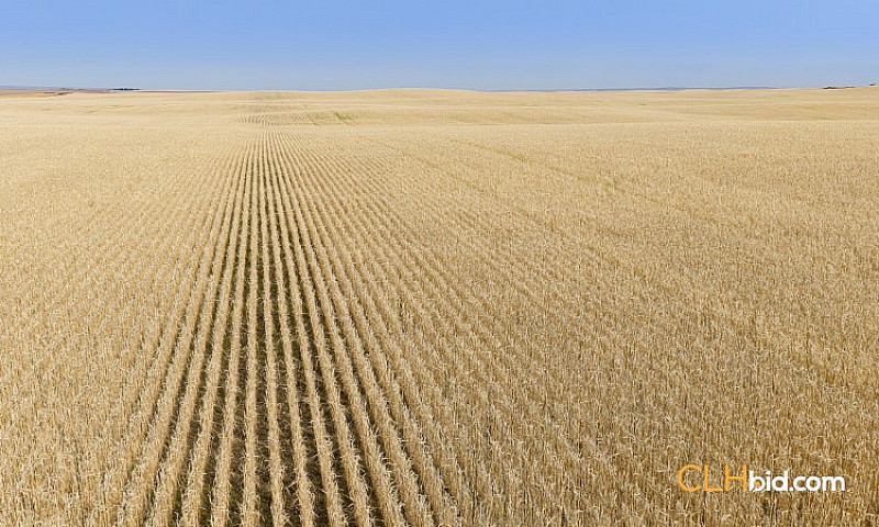 1,116 Acres Farm Lan...