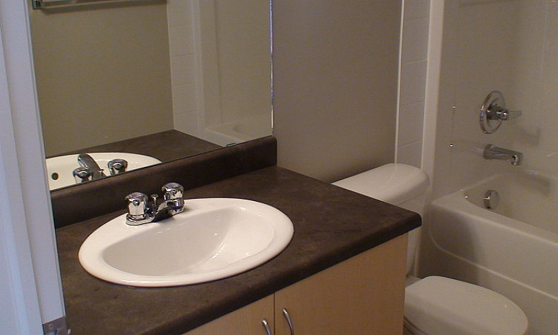 2 Bed 2 Bath Condo I...