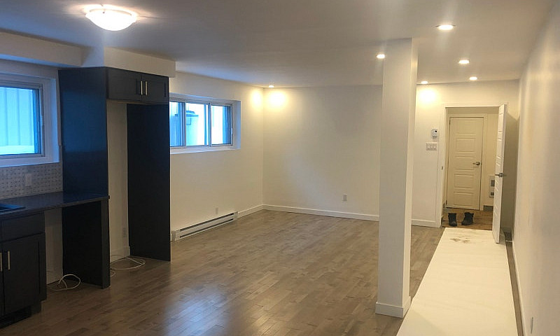 Renovated One Bedroo...