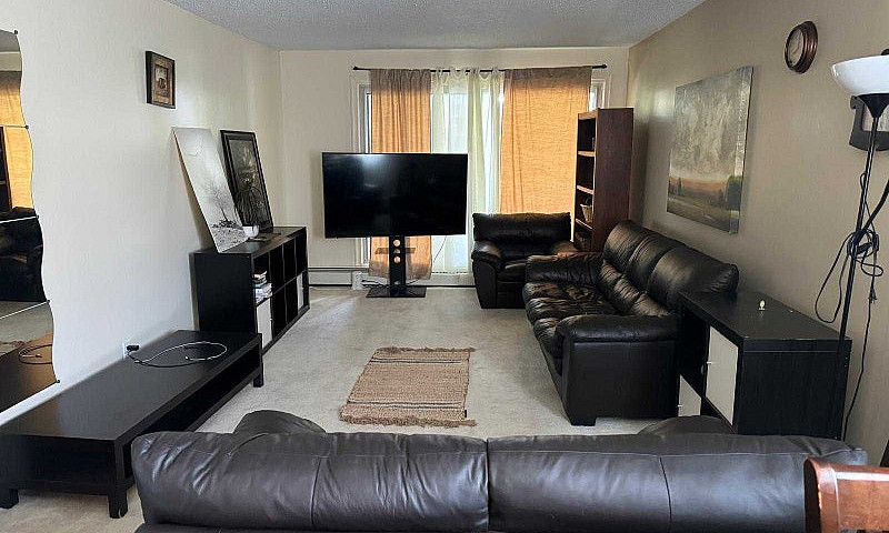 1 Bedroom Apartment ...