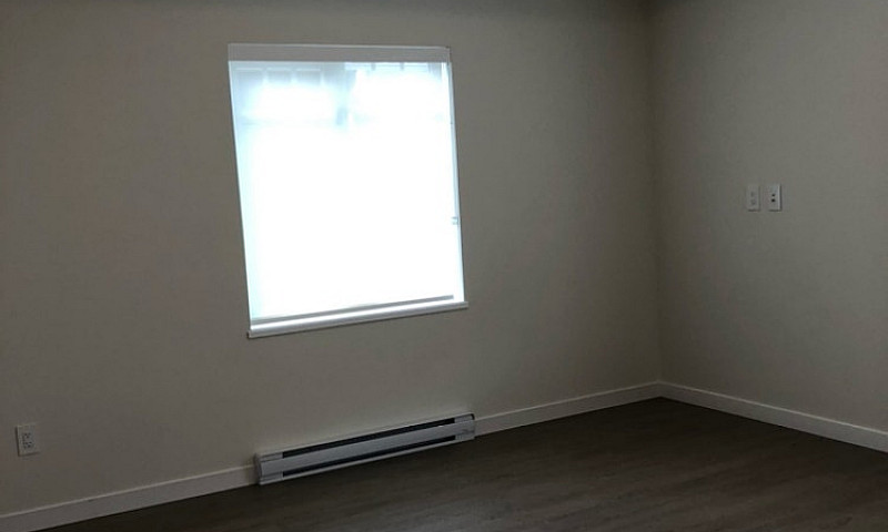 One Bedroom Apartmen...