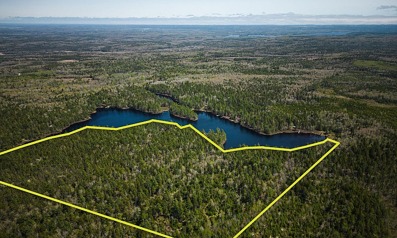 43 Acres Of Land For...