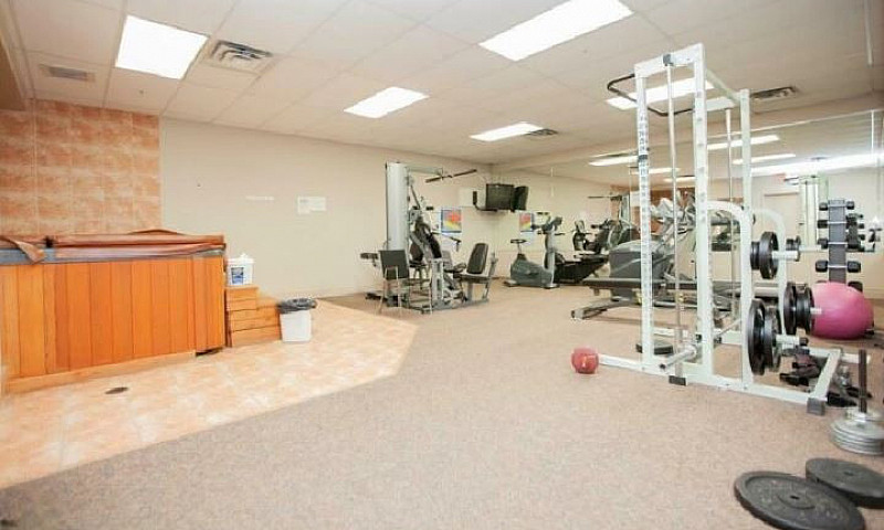 Large Furnished, 1 B...