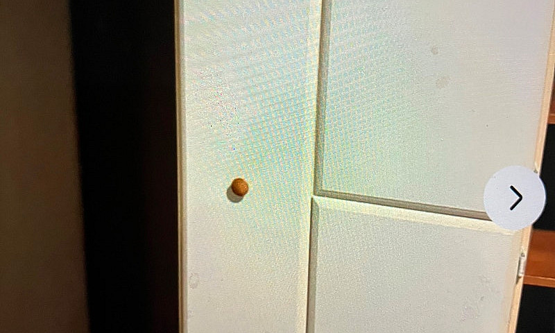 1 Bedroom Apartment ...