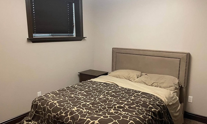 1 Bedroom Apartment ...