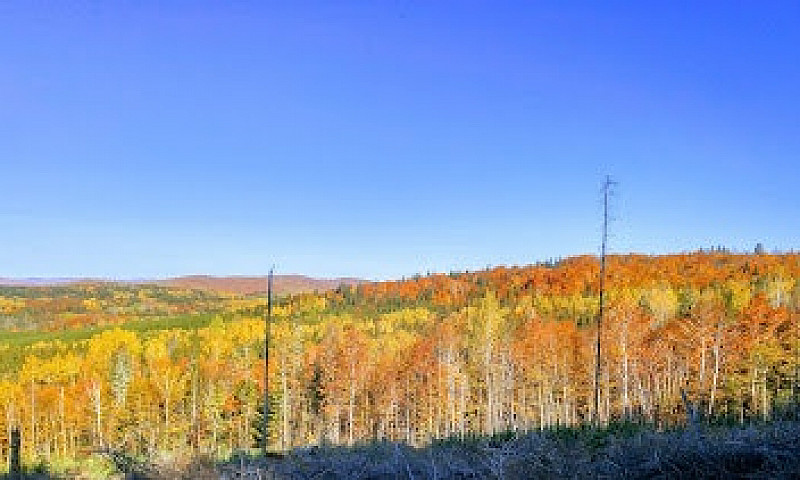 Land In Cheaper In N...