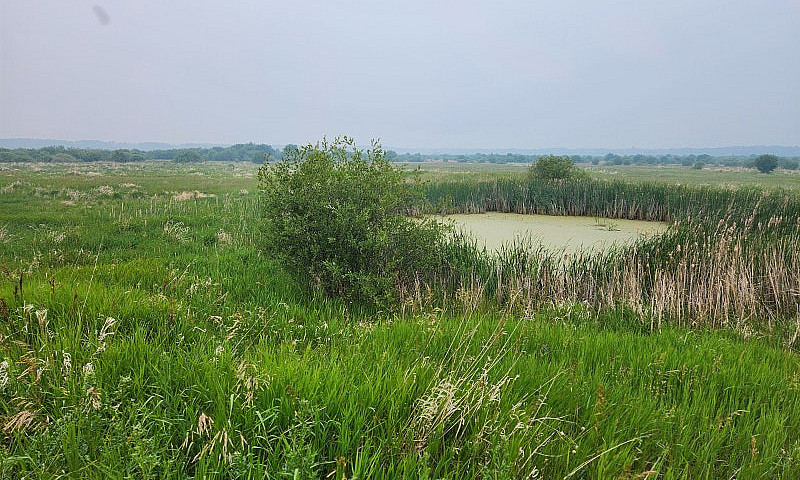 156 Acres For Sale...
