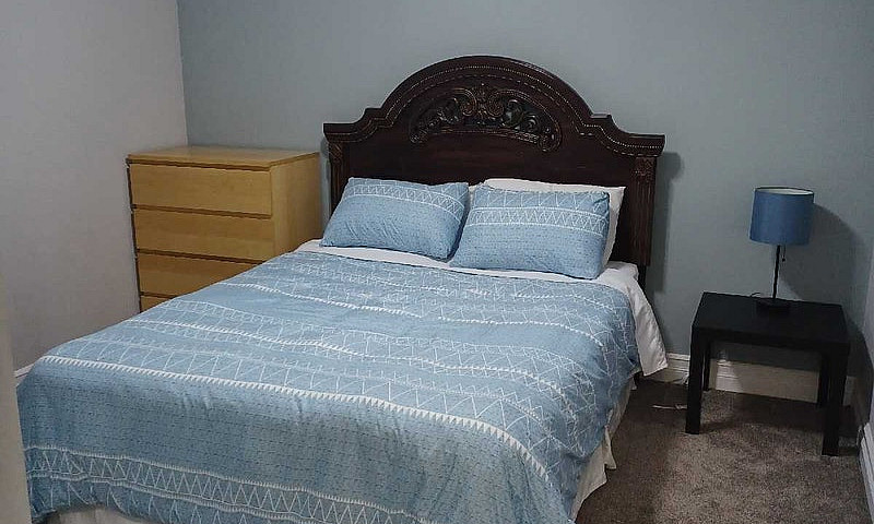 1 Bedroom Basement S...