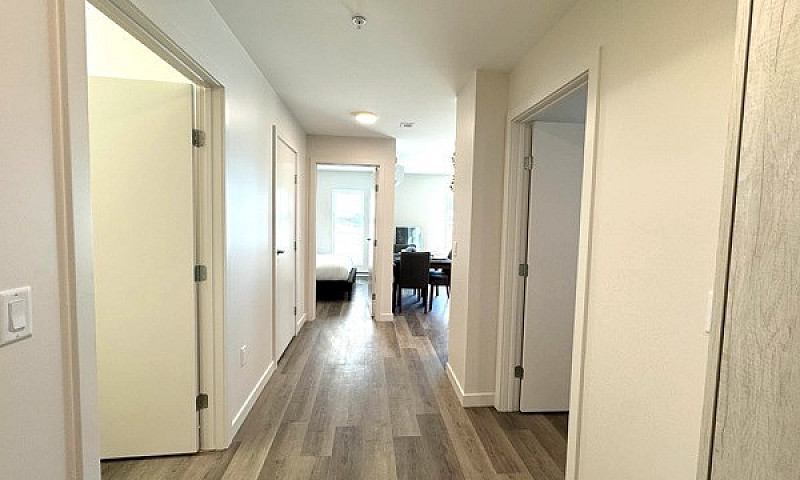 **2Bed 1Bath Apartme...