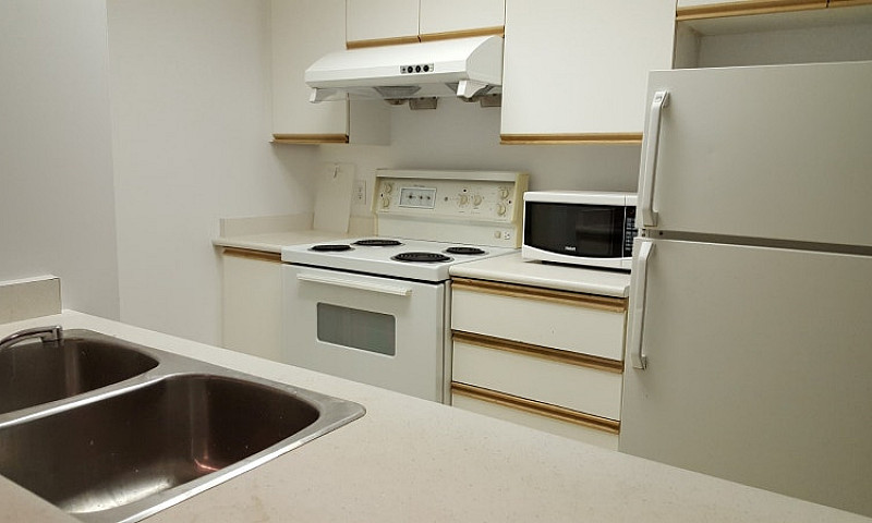 Fully Furnished 1Br ...