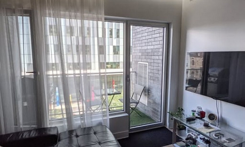 1 Bedroom Downtown C...