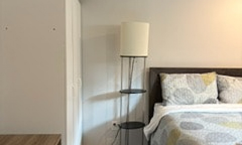 Quiet Linden Woods S...
