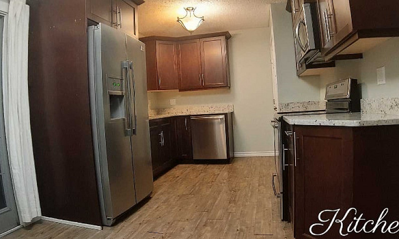Clean, Spacious, 3 B...
