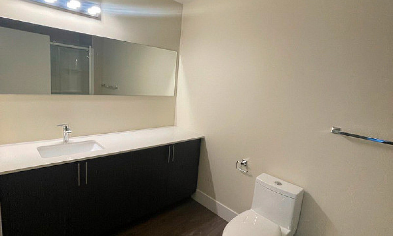 1 Bed 1 Bath Modern ...