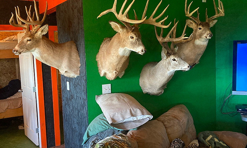 Hunting Lodge & 5 Qu...