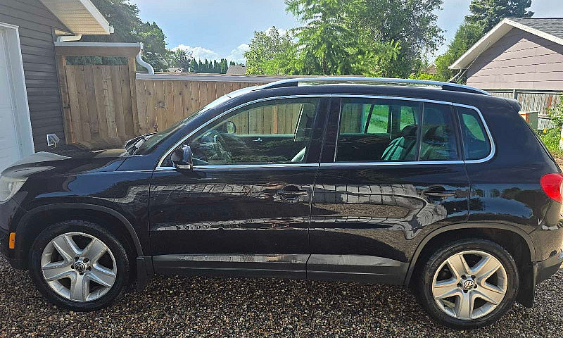 2010 Volkswagen Tigu...