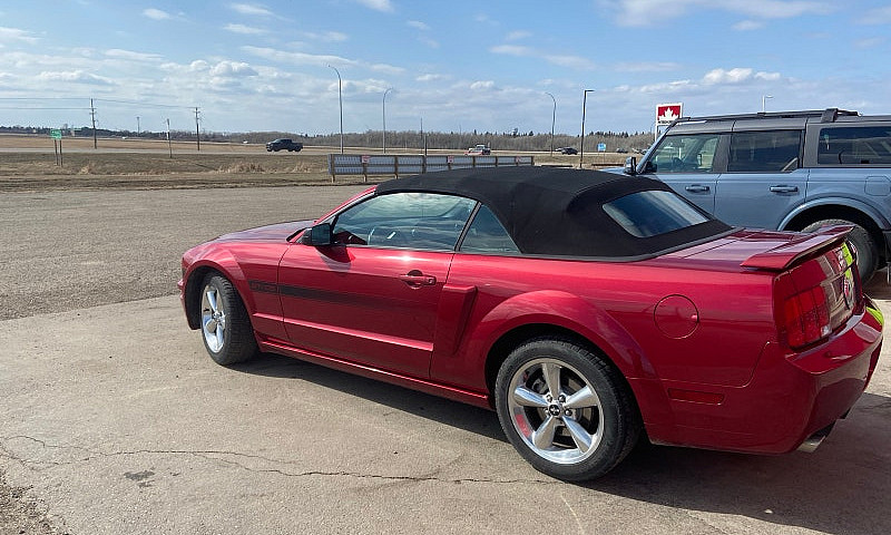 Mustang Gt/Cs Conver...