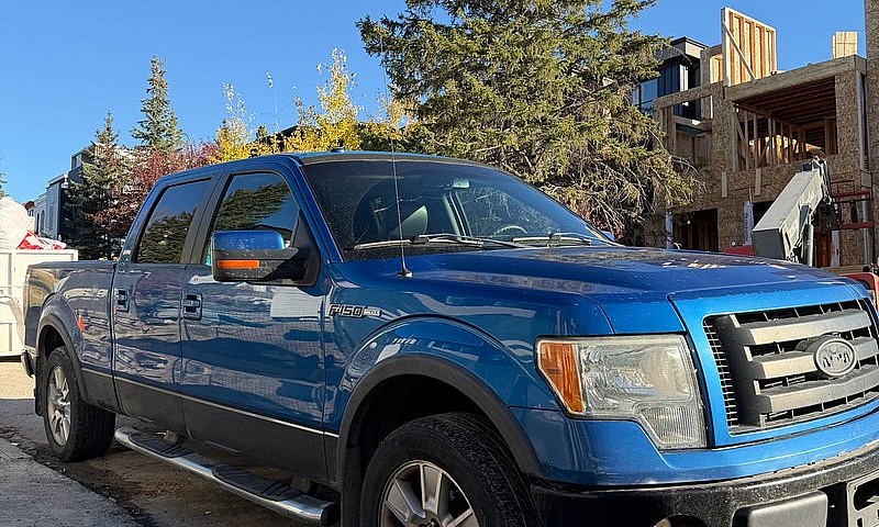 2009 Ford F-150 Fx4 ...