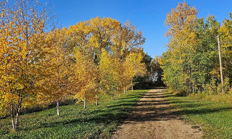 Acreage For Sale...