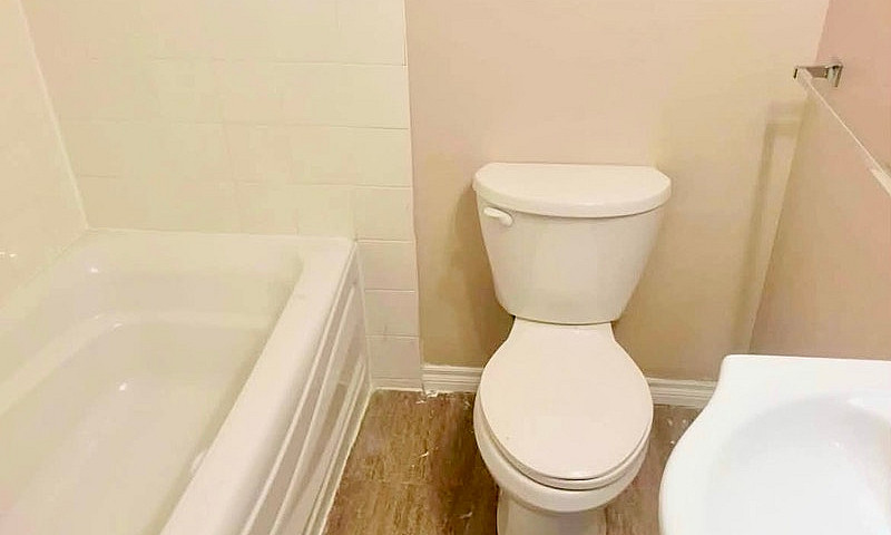 Basement For Rent...