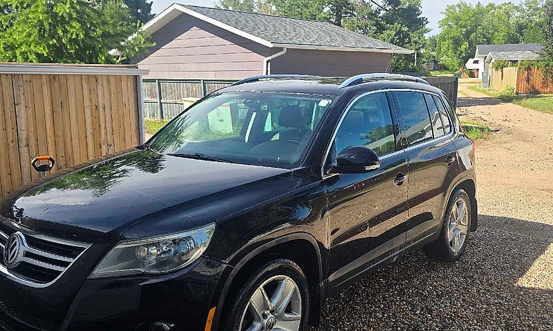2010 Volkswagen Tigu...