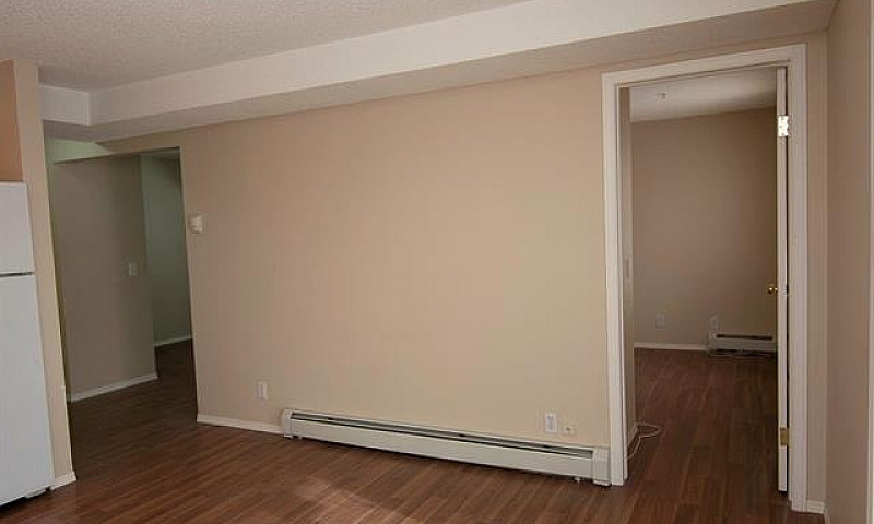1 Bedroom + Den All ...