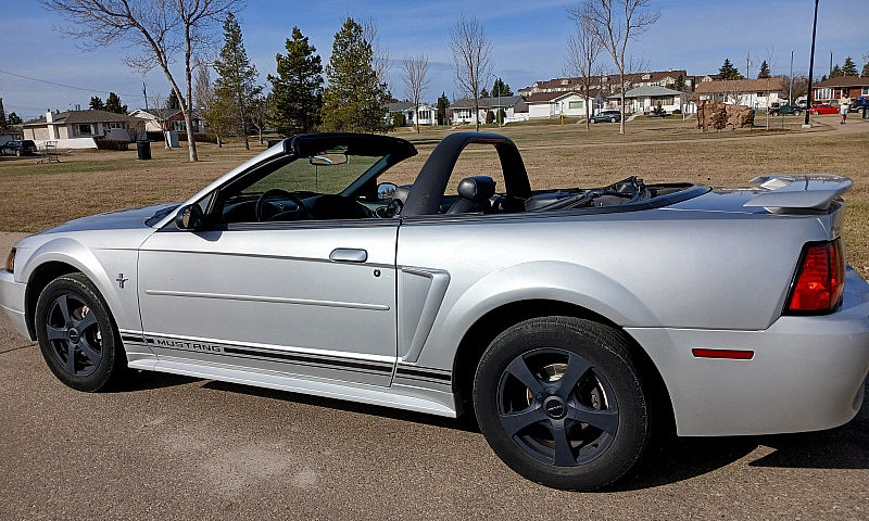 Ford Mustang Convert...